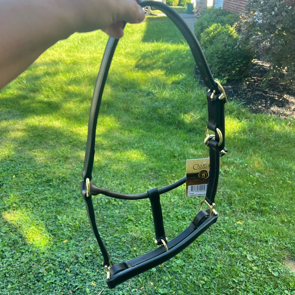 Camelot pony leather halter brown